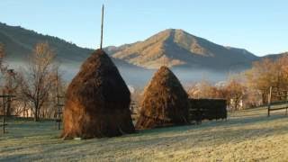 Muzica Maramures  In padure la izvoare  Ion Petreus Todereanu [upl. by Russia]