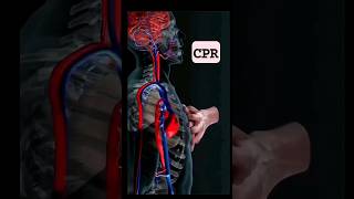 Quick Guide to CPR in 19 Seconds 💓  LifeSaving Basics CPR FirstAidSaveALife emergencyresponse [upl. by Noll]