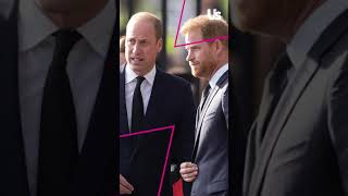 Prince Harry’s Complaint Of Prince William Warranted [upl. by Zane452]