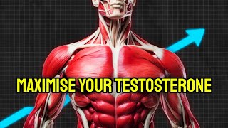 Increase Your Testosterone In 24 Hours naturally [upl. by Lamrouex980]