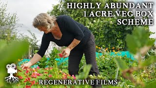 SelfSufficient Grower Feeds 20 Families on Only 05 Acres  Regenerative Films [upl. by Allebasi]