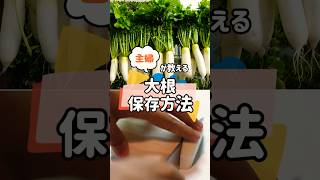 大根の保存方法 冬野菜 野菜保存方法雑学 野菜栽培 料理 農業 園芸 [upl. by Rodi]