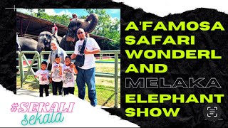 A’FAMOSA SAFARI WANDERLAND  MELAKA  ELEPHANT SHOWRIDE  7523 [upl. by Judith]