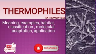 Thermophiles hyperthermophile Extremophiles classification molecular adaptation application [upl. by Laureen]