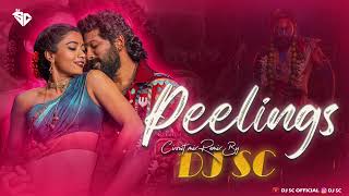 PEELINGS SONG  Circuit Mix  DJ Sc  Pushpa 2 The Rule  Allu Arjun  Rashmika m  Pushpa 2 Song [upl. by Colleen]