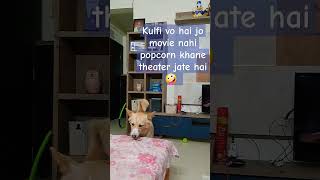 Movie jaye bhad me  pehle pet Puja ho jaye 🤪 indiedog doglover dog shorts cutedog [upl. by Ahsiruam]