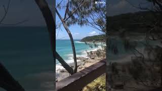 HIGHLIGHTS Noosa QLD queenslandtourism dogfriendlyadventures noosa qld [upl. by Just]