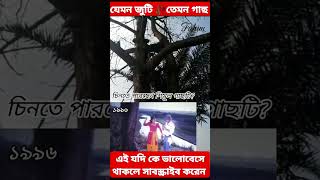 চেনা যায় 😭😭 ফ্যাশনের জগতে একদাফ এগিয়েছিলেন সালমানশাহ শাবনুর viralshort banglacinema foryou [upl. by Ayadahs697]