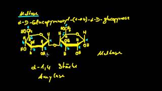 Organische Chemie  11 Kohlenhydrate 3  Disaccharide [upl. by Noral605]