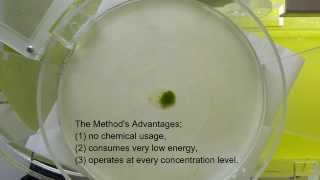 MASS  Microalgae Air Separation Systems [upl. by Pudendas167]