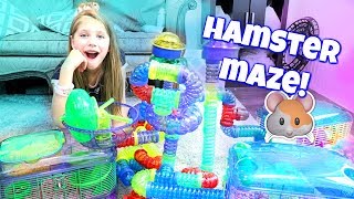 AMAZING HAMSTER MAZE Setting up Hamster Cages and Tubes from CritterTrail Shopping at PetSmart [upl. by Taima]