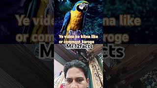 OMG kya Gajab Talent hai Camera Maining Ka support channel yt shorts viralvideo [upl. by Nasia]