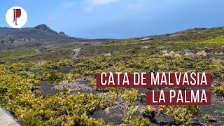 Cata de Malvasia  La Palma [upl. by Amej]