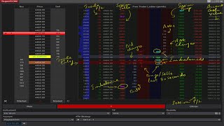 Free OrderFlow Ladder  Time and Sales TampS  Gemify SuperDOM Column For NinjaTrader 8 [upl. by Aneret]