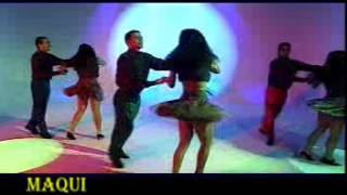 VIDEO  TROPICAL  NO HAY PESOS  LOS CANTANTES  FLV [upl. by Hnim25]