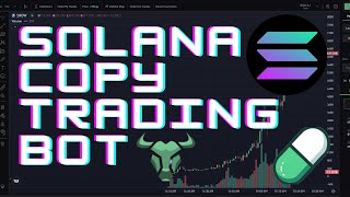 How To Copy Trade on Solana  Solana Meme Coin Copy Trading Bot [upl. by Ytisahc]