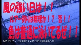 ルアー釣りでシーバスを狙うｉｎ四日市水路2019 5 19 [upl. by Princess]