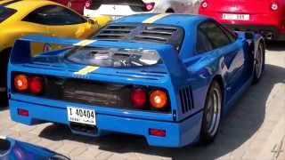 Unique Ferrari F40 Start up amp Acceleration [upl. by Adnamor]