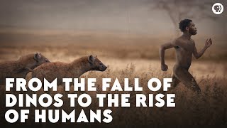 From the Fall of Dinos to the Rise of Humans [upl. by Iru]