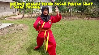 Praktek 3 Pencak silat [upl. by Mw193]