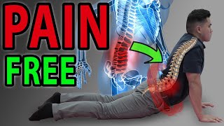 6 Absolute Best Exercises for Low Back Pain  SIJ  Facet Syndrome Mobilisation  Lumbar Pain [upl. by Wanfried]