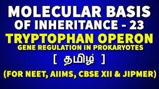 Trp Operon in Tamil  Molecular Basis of Inheritance in Tamil 23  Rajus Biology [upl. by Neerihs]