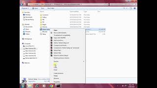 How To Install Resident Evil 2 Downloaded FromWww ApunKaGames Net [upl. by Ribble]