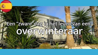 Een dag in het quotzwarequot leven van een overwinteraar in zuid Spanje [upl. by Sand]