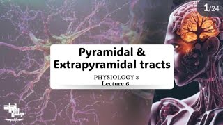 Pyramidal and extrapyramidal tracts Physiology 3 lec 6 [upl. by Tnomyar]