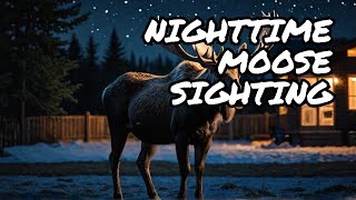 moose in the yard at night [upl. by Idou]