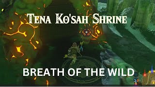 TENA KOSAH SHRINEA MAJOR TEST OF STRENGTHTHE LEGEND OF ZELDA  BREATH OF THE WILD [upl. by Blackburn]