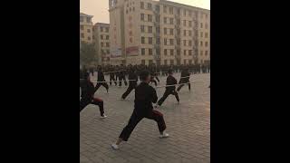 First Moves of Shaolin Shao Huo Gun [upl. by Eiggem]