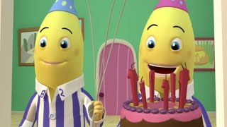 Party Time Compilation  Full Episodes  Bananas in Pyjamas Official [upl. by Onateag62]