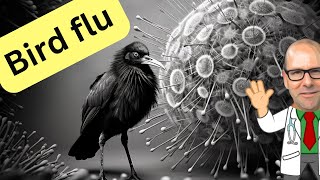 Avian Influenza  what you need to know about H5N1 and the risk of pandemic bird flu [upl. by Sturges466]