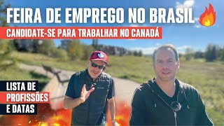 Província Canadense busca trabalhadores no Brasil Veja a Lista de Profissões [upl. by Papotto]