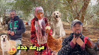 ليام طويلة ودنيا دوارة والحمارة مشاية 👌ومول النية يربح🥹لقيت جدة بغات طير بالفرحة 😍 من والو كت فرح [upl. by Ahsirat840]