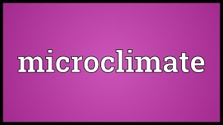 Microclimate Meaning [upl. by Aikit]