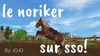 Le NORIKER SUR SSO  Je suis fan cheval sso starfam equestrian [upl. by Lindy129]