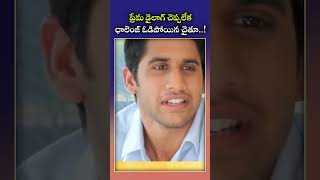 Manam movie dialogue challenge  Akkineni Naga Chaitanya  10 yearsformanam manam dilougechallenge [upl. by Shane]