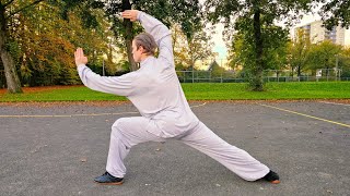 back Yang Tai Chi Simplified 24 Form 二十四式太极拳 He Yong Gan Martial Arts [upl. by Yllil]