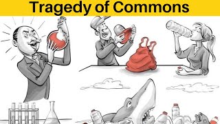 The Tragedy of the Commons A RealLife Economics Lesson [upl. by Kifar]