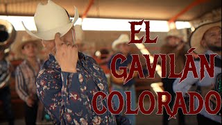 El Gavilán Colorado  La Inolvidable 2024 [upl. by Harper523]