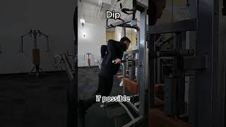 Dip  Taken to Failure triceps delts chest hypertrophy strength [upl. by Ecnadnac]