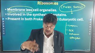 Ribosomes Class 9th [upl. by Fatima]