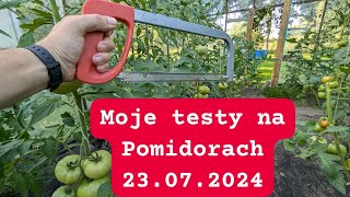 Moje testy na Pomidorach drożdże kwasek cytrynowy gnojówka banany [upl. by Tasiana]