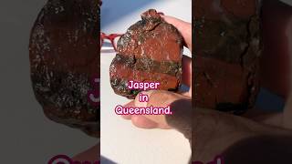 Jasper Amamoor Qld [upl. by Corbet]