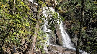 Laurel Falls Great Smoky Mountains National Park [upl. by Yllaw104]