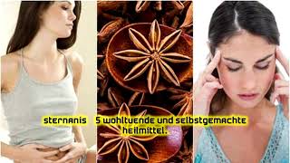 Sternanis – 5 wohltuende und selbstgemachte Heilmittel [upl. by Llevram]