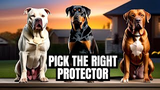 Family Guard Dog Comparison Rottweiler vs Pitbull vs Rhodesian Ridgeback [upl. by Amabelle807]