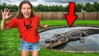 We Caught an Alligator in Carters Sewer [upl. by Hendren792]